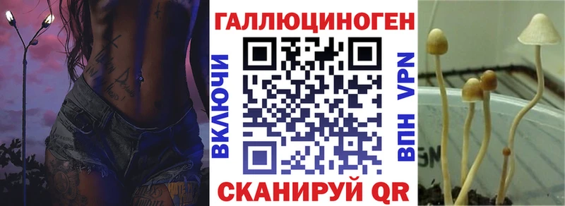 купить наркоту  mega ТОР  Галлюциногенные грибы прущие грибы  Серпухов 